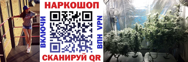 Сколько стоит Старица Псилоцибиновые грибы  ГАШ  МЕТАМФЕТАМИН  MEGA как войти  Кокаин 