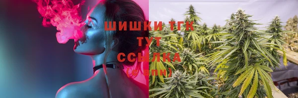 спиды Аркадак